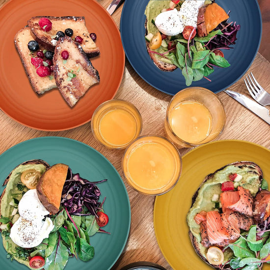 10 Inch Unbreakable Dinner Plates Set of 8 - Dishwasher & Microwave Safe